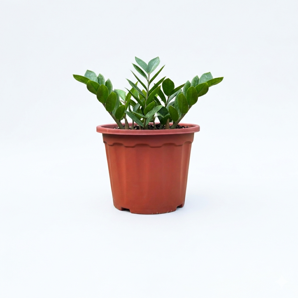 Classic Plastic Pots – Set of 5 (8 Inch | 20.5 × 14.2 × 18.7 cm) | Premium Sturdy Decorative Garden Planters